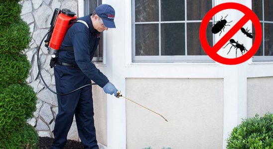 Felahiye Kemirgen İlaçlama böcek ilaçlama ve haşere kontrolü — ilaclama-tr.com